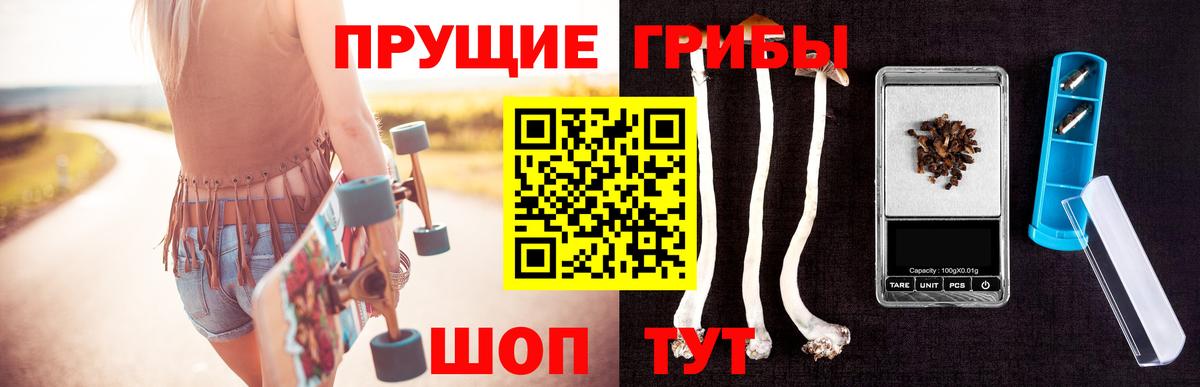 Можга  Галлюциногенные грибы прущие грибы  где продают   Вход с VPN 