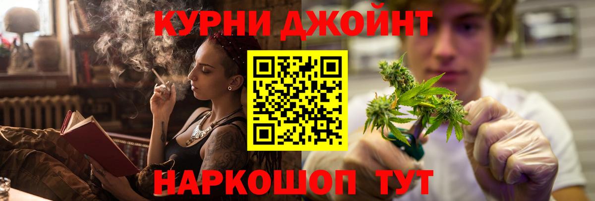 Конопля гибрид Можга